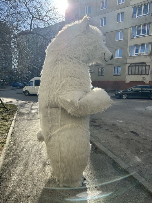Продам білого ведмедика; білий ведмідь; купити білого ведмедя; ведмідь