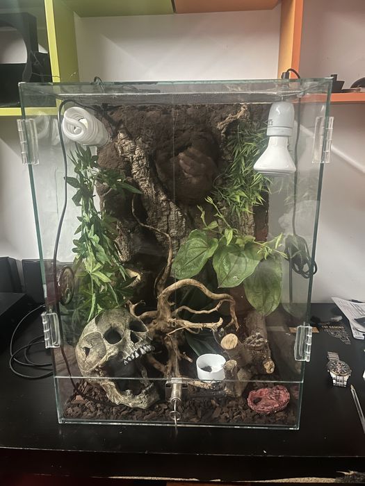 Terrario para reptil