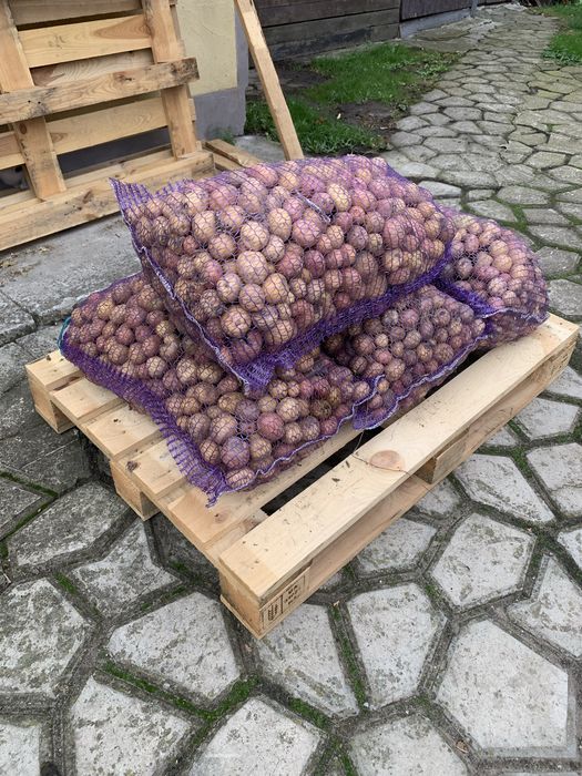 Продам дрібну картоплю