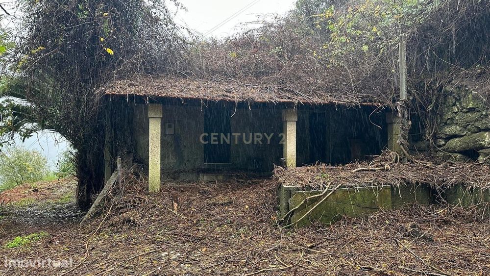 Propriedade para Recuperar | Terras do Bouro | Zona Tranquila, Bons Ac