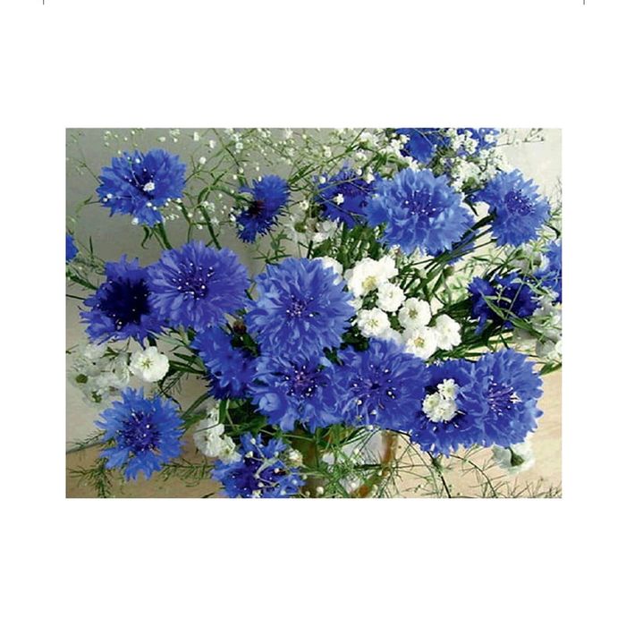 Diamond painting haft diamentowy  - chabry (2866)