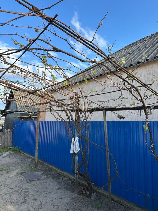 Продам будинок в м.Ізюм