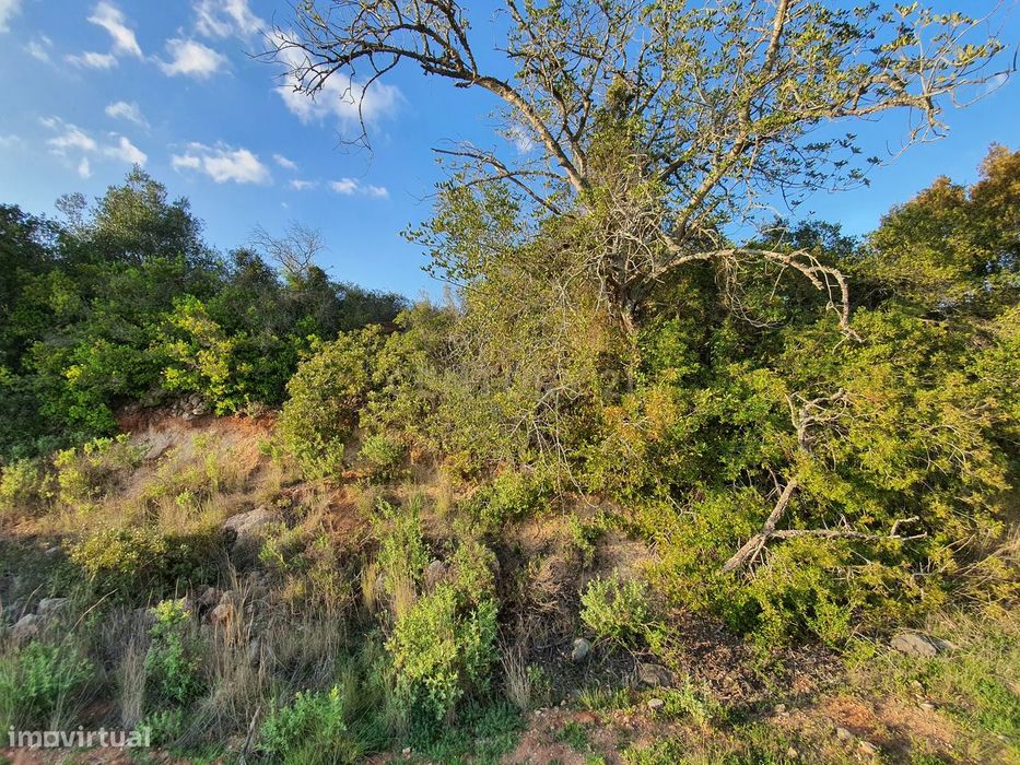 Rustic Land 16960 m² - S. B. Messines
