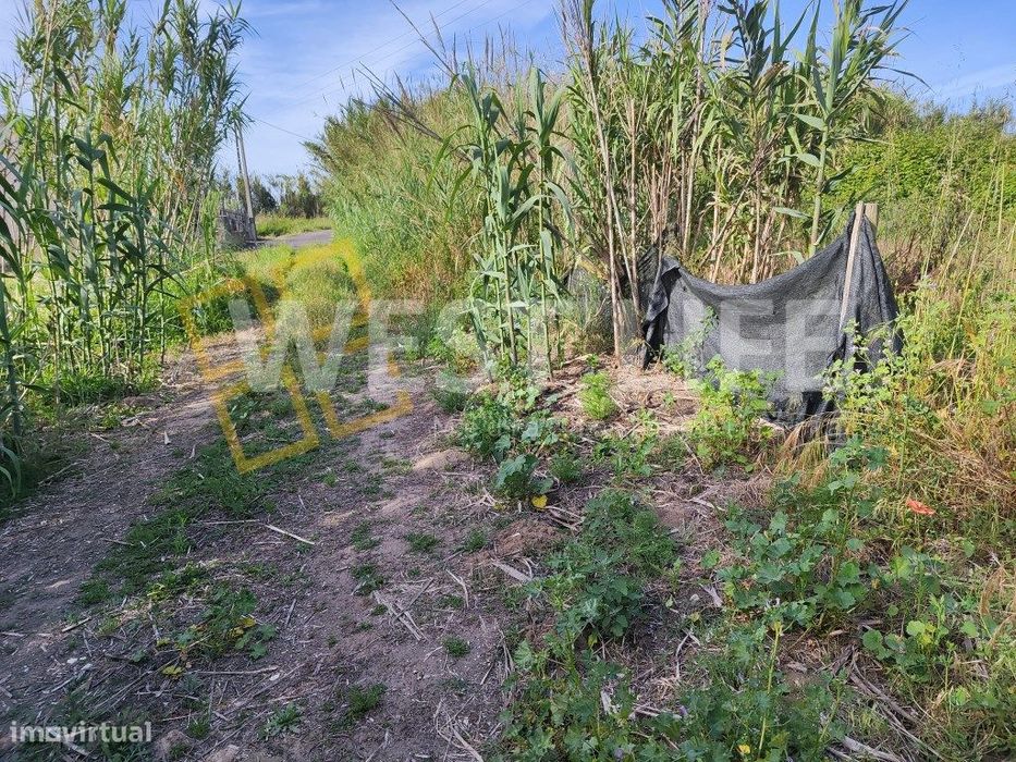 Rustic Land - Agricultural Plot of 2560 m² – Harmonious Location and Good...
