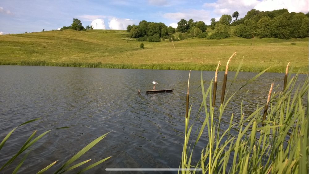 Продам доглянуту земельну ділянку 0,20га, 12км. від м. Хмельницького!