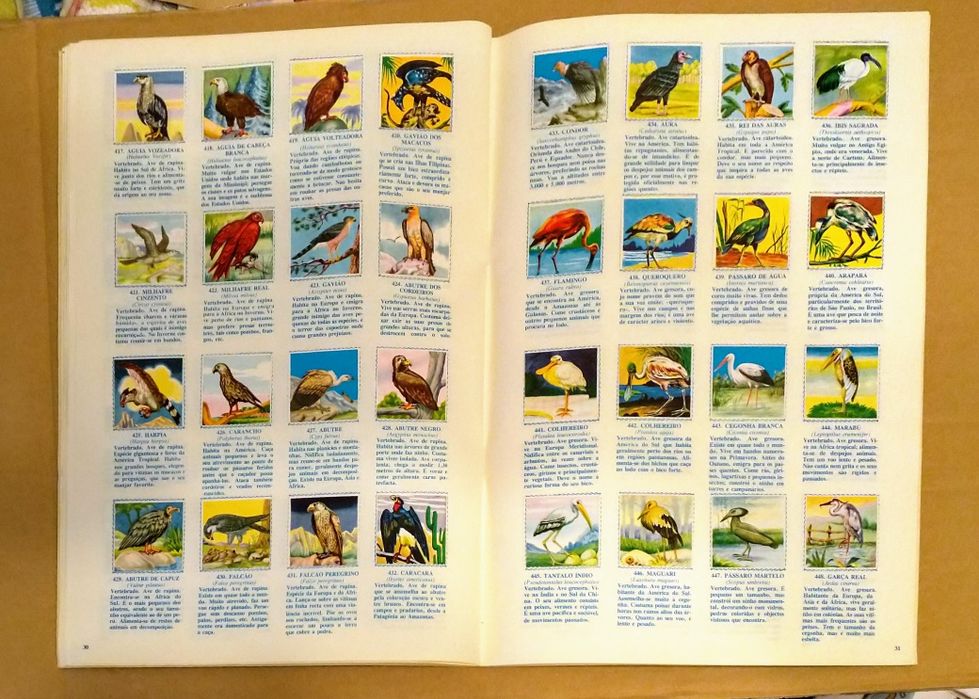 Lote de 3 Cadernetas de Cromos