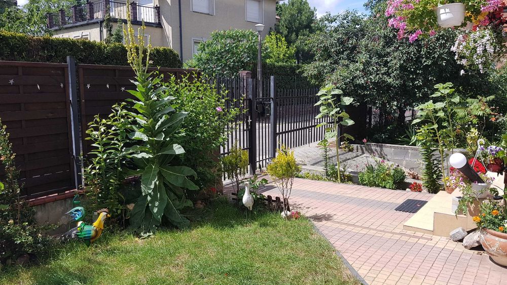 Pokoje dla studentów lub osób pracujacych na długi lub krotki wynajm.