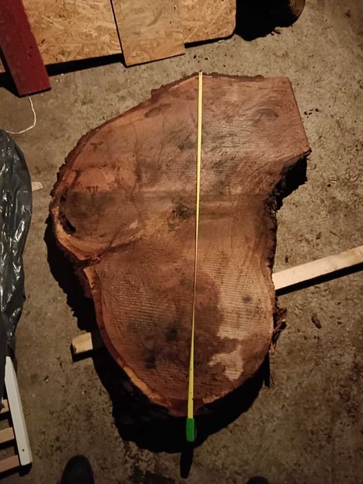 Plastry dębowe do 140cm !!