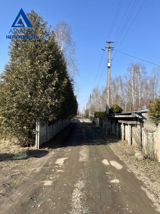 Пропонуємо до продажу 2 суміжні земельні ділянки  в селі Озерце.