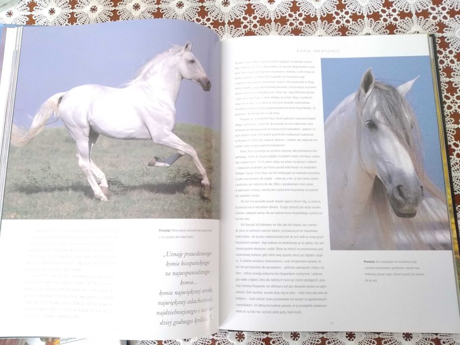 Książka - Album Piękno Konia