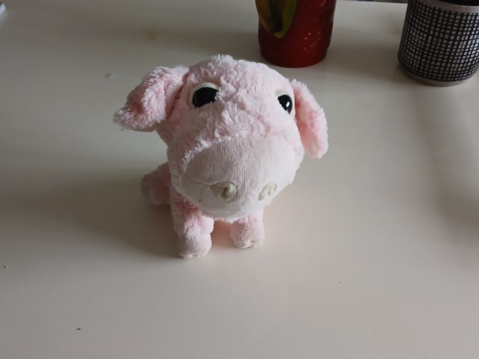 Coleção animais da quinta
