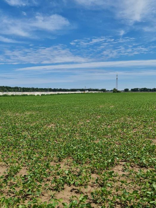 Земельна ділянка комерція 40 соток, Крюківщина, асфальт. світло.