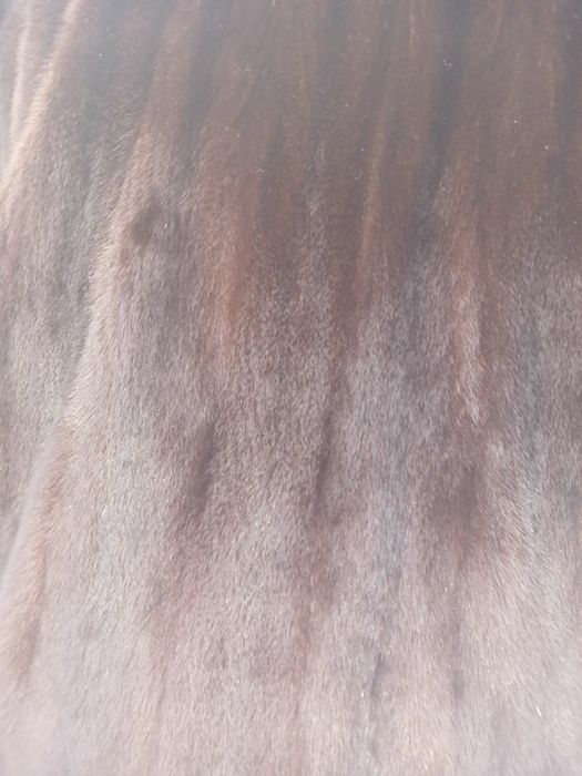 Шуба норкова, розмір 56 -58