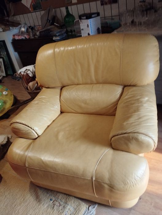 Cadeirão em pele Divani.