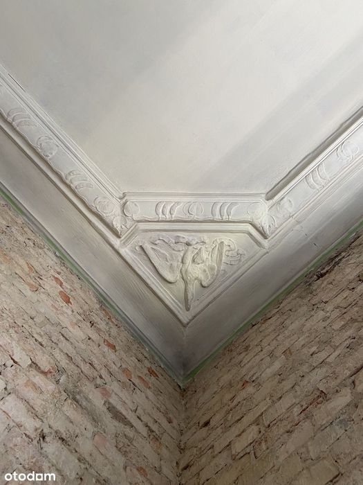 Łazarz mieszkanie kamienica 50m² 3,7m wysokości widok na Park Wilsona
