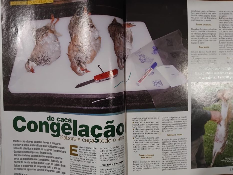 Revista caça 2002
