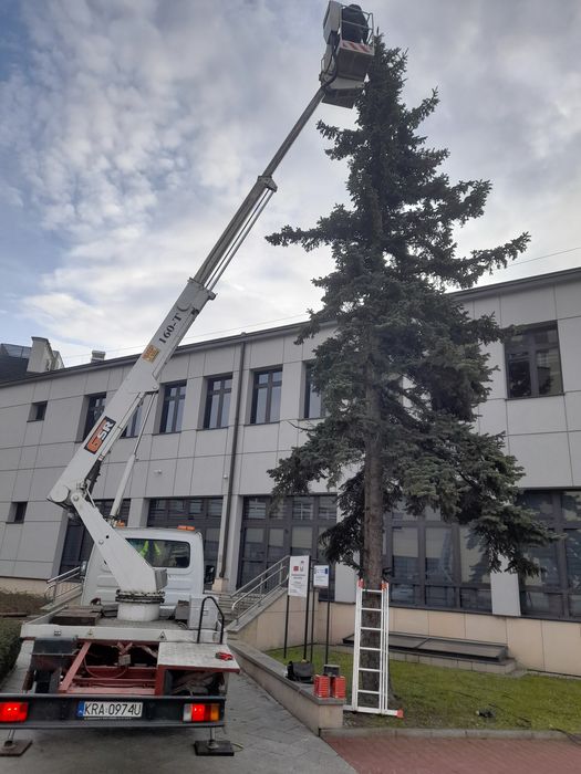 Usługi podnośnikiem koszowym/zwyżka/16m podnośnik koszowy/Teleskopowy