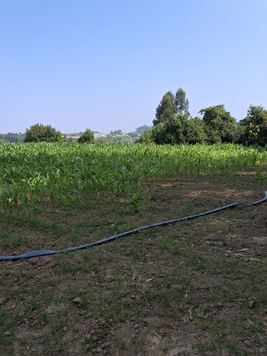 Terreno Rustico venda