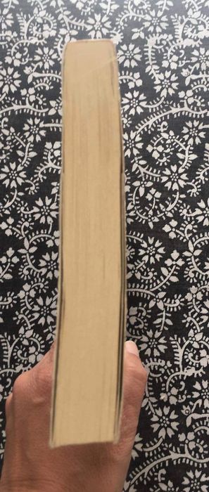 Lua-de-mel em Paris, Elizabeth Adler