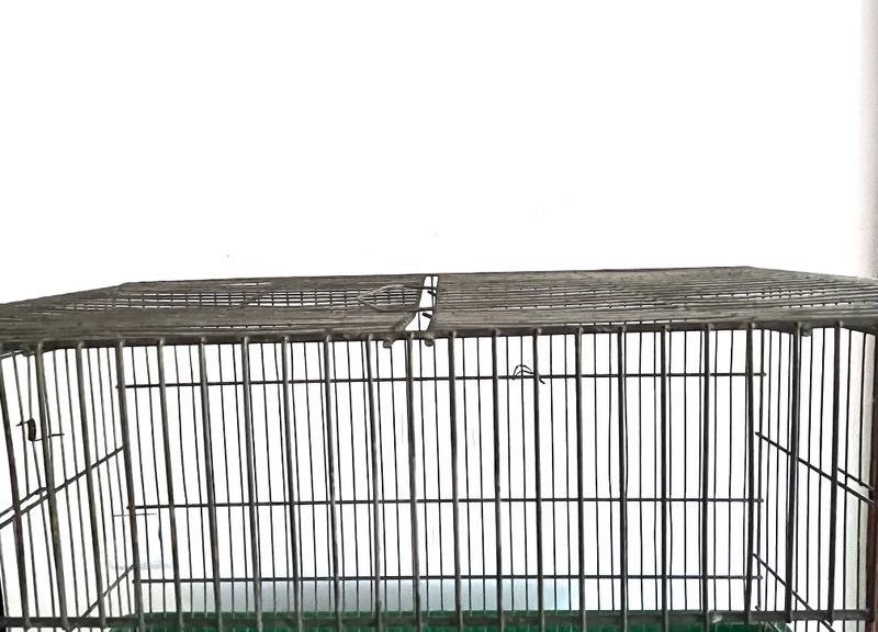 Viveiro para Reabilitação de Animais de Pequeno Porte ou Aves Vintage