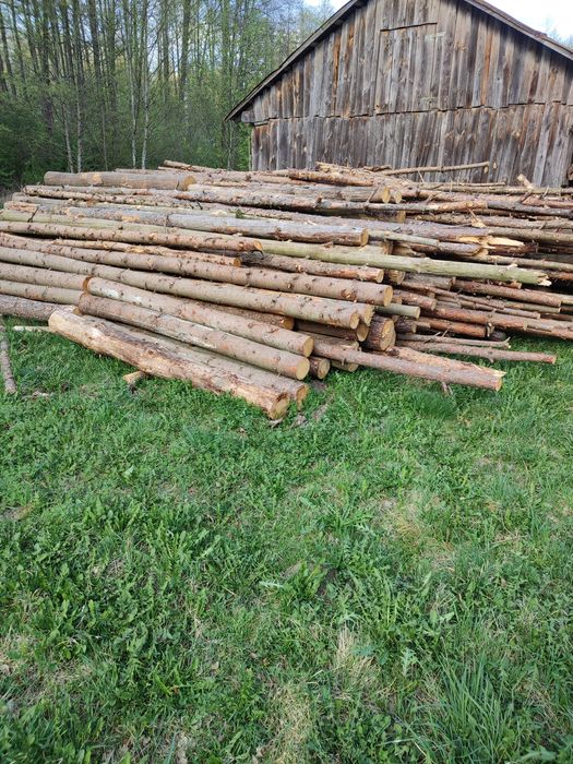 Sprzedam suche drzewo sosna i świerk