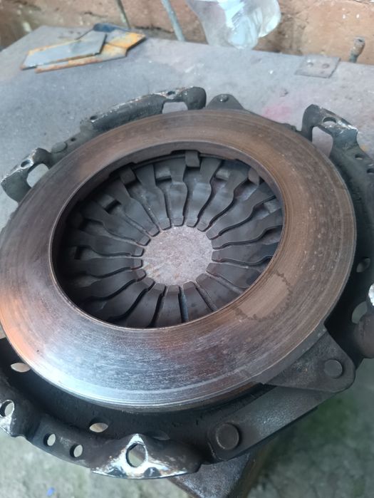 Щеплення, корзина і вижимнтй