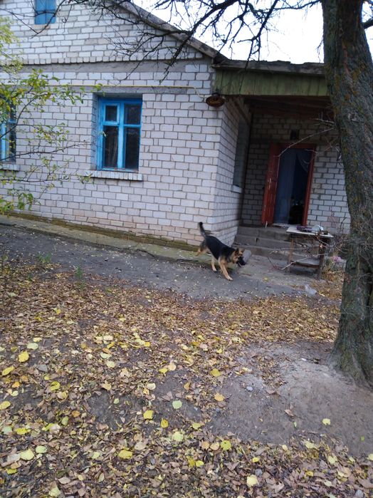 Продать дом в Парутино