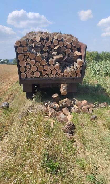 Дрова дубові твердих порід