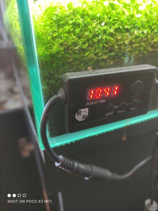 Aquário plantado completo