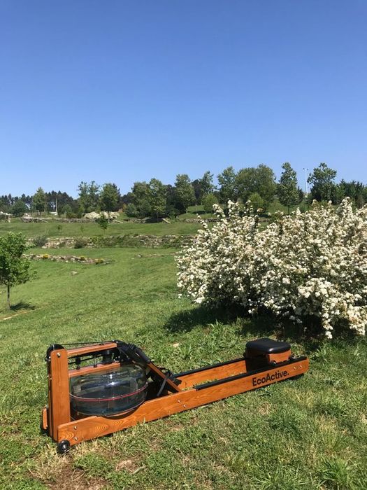 Venda de Máquinas de Remo WaterRower em Madeira
