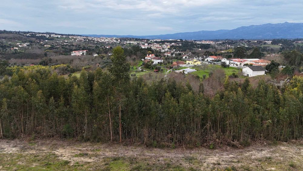 Terreno urbano à venda em Tondela – LOCALIZAÇÃO PRIVILEGIADA!