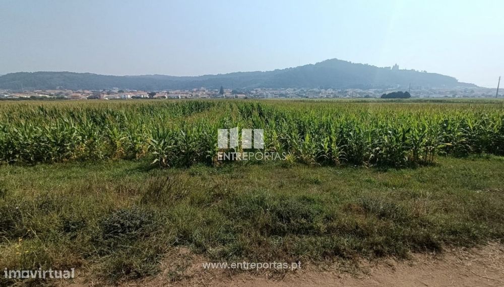 Venda de terreno agrícola com 7890m², Areosa, Viana do Castelo