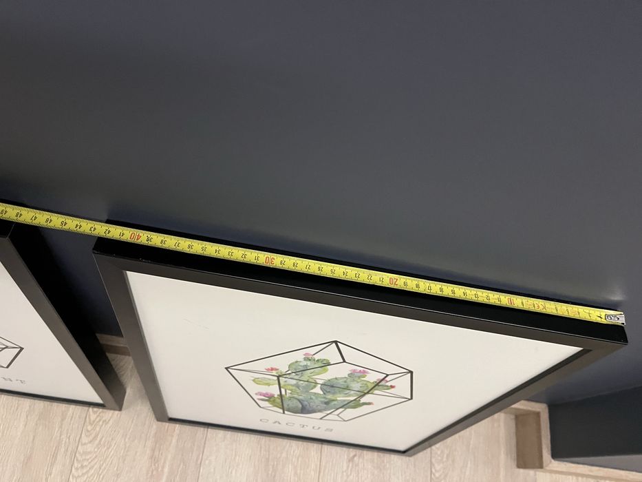 Obraz w ramie kaktus Ars Longa 53cm x 43cm