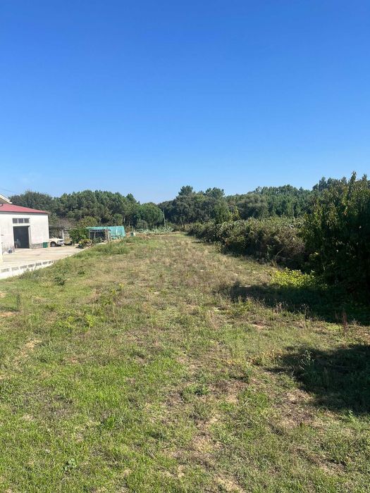 Terreno Urbano – 1 230 m² |  Malhapão, Oliveira do Bairro