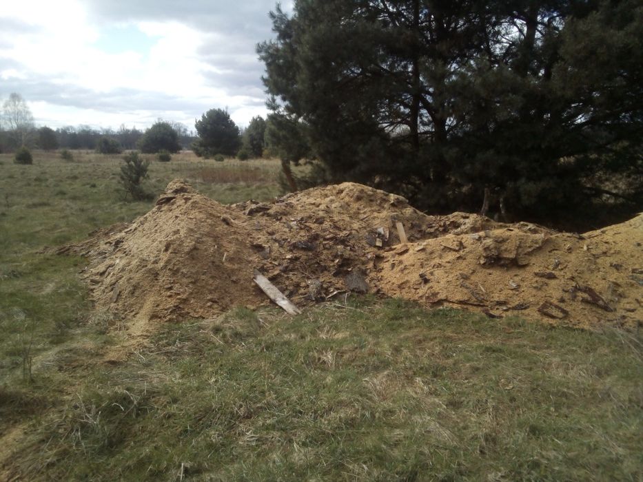 trociny do palenia za darmo