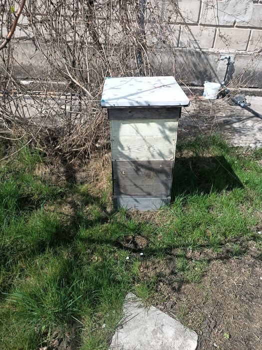 Улья бу 10 рамок