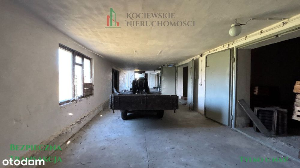 Duża działka rolna z magazynem – ul. Korytybska - View 5
