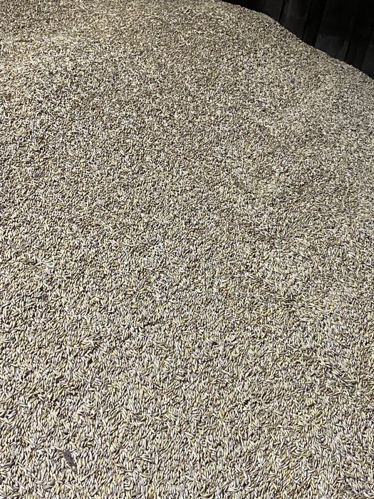 Mieszanka zbożowa 20T