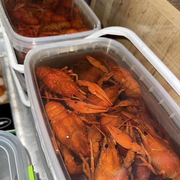 Тарань з ікрою, бичок , судак