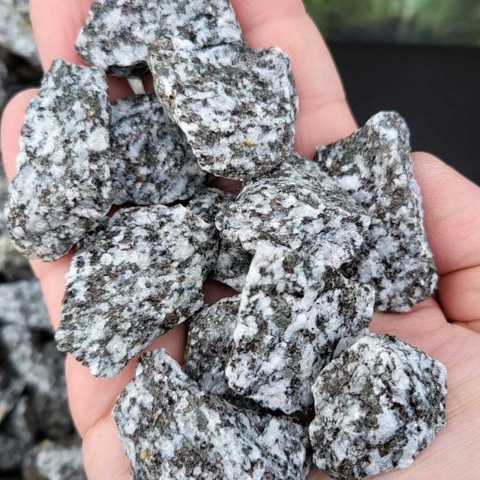 Grys Granodioryt 16-22 mm sjenit Dalmatyńczyk odwrócony Kamień ogrodow