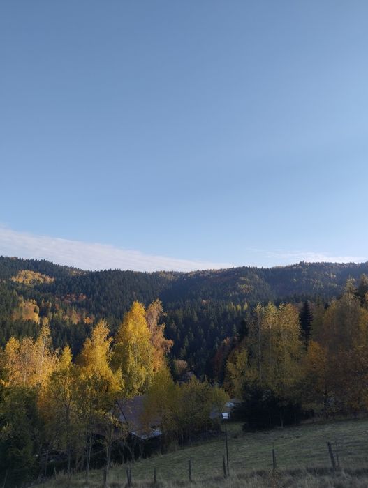 Sprzedam działkę budowlaną