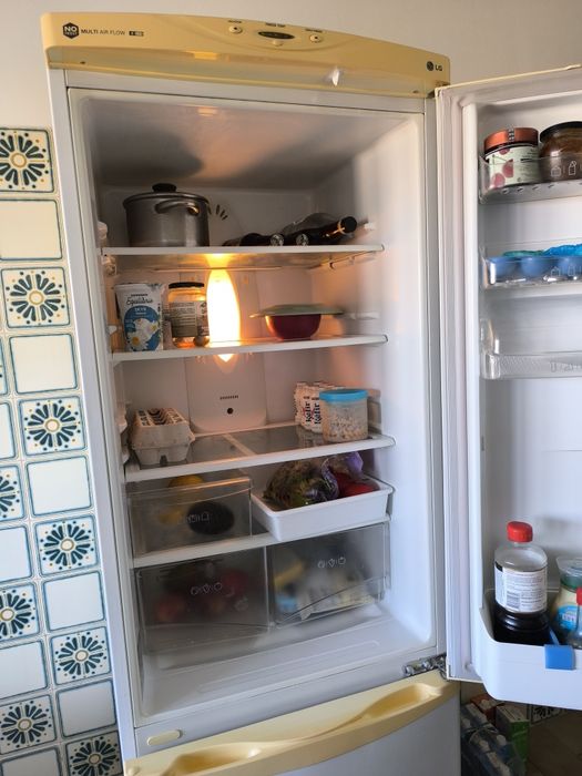 Frigorífico Combinado LG (GR-399SQ) – A Funcionar 100%
