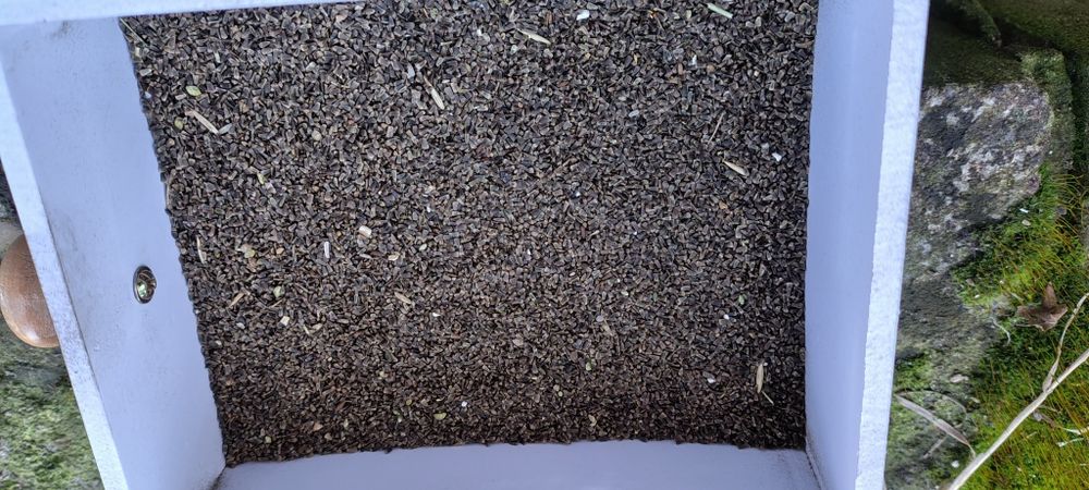 Serdecznik pospolity z uprawy ekologicznej 250g