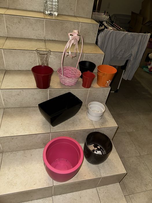 Vasos plantas variados