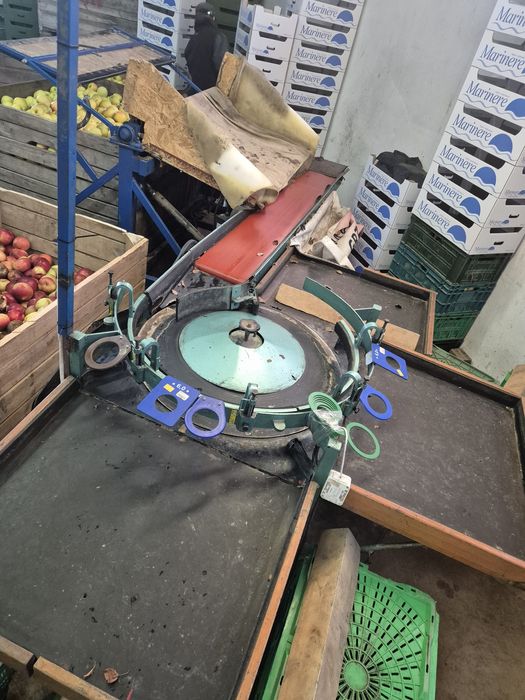 Sortownica  a3, bączek greefa