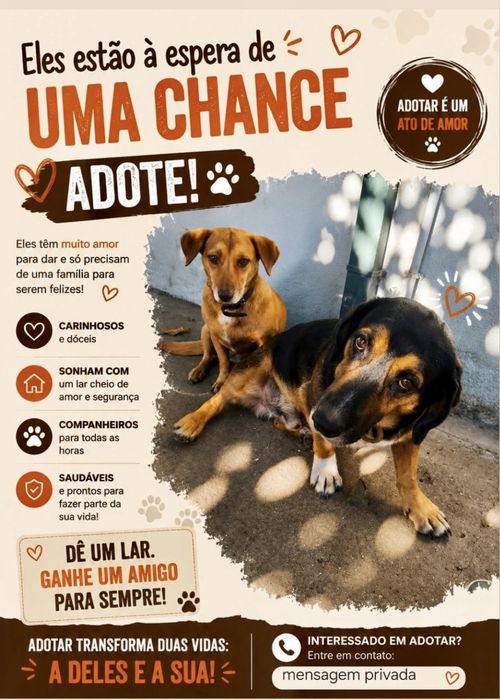 Macho e fêmea para adoção conjunta