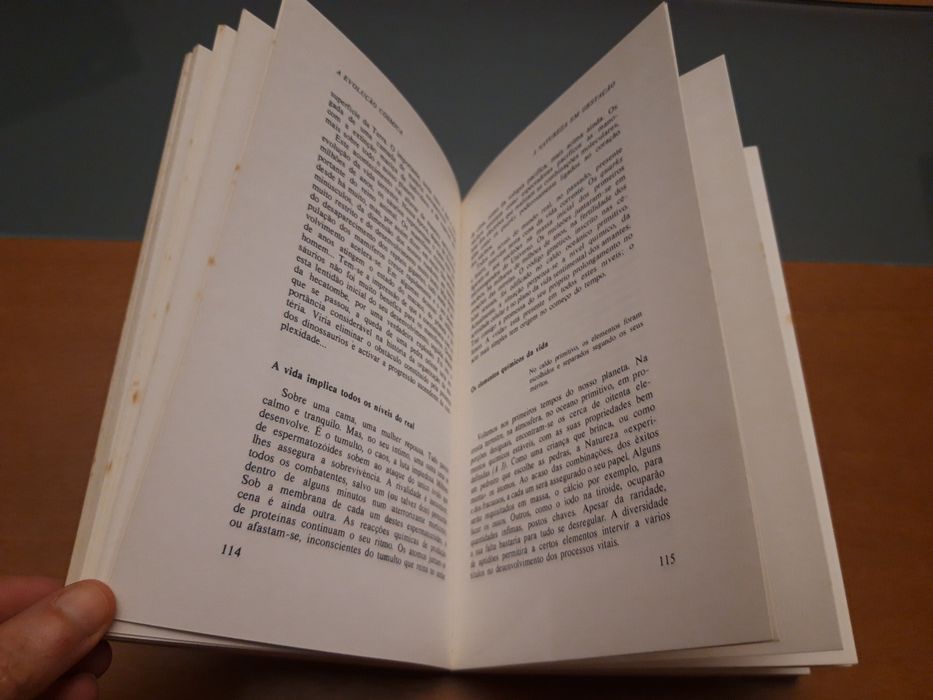 Livro "Um Pouco Mais de Azul: A Evolução Cósmica" de Hubert Reeves
