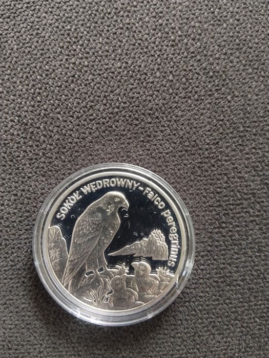 Moneta srebrna 20 zł sokół wędrowny
