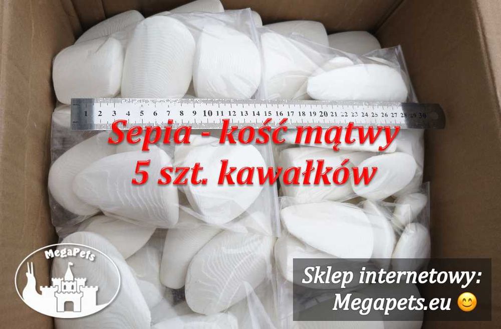 Sepia - kość mątwy Zestaw grubych kawałków Ślimaki Isopody Małe ptaki