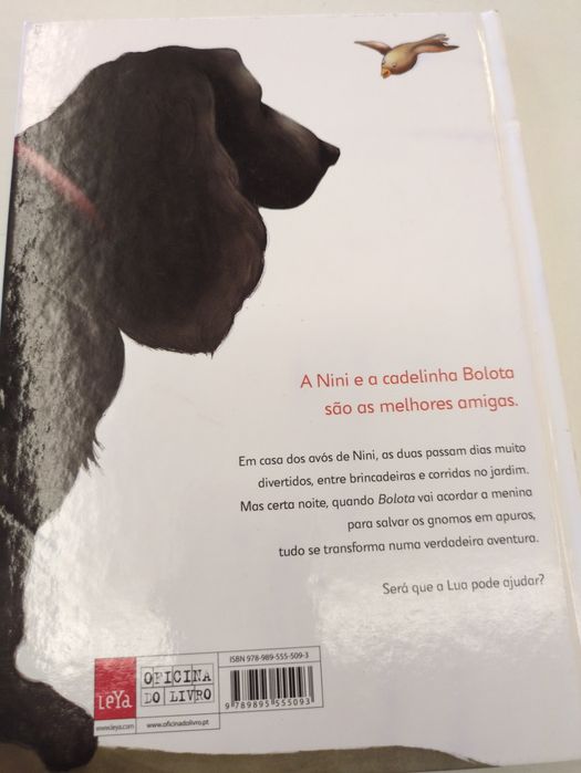 Nini e a sua amiga Bolota de Luísa Castel-Branco